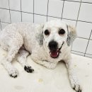 반자주 진해점 이미지