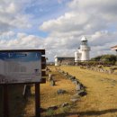 산내들내 이미지