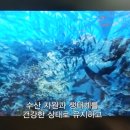 바다산업