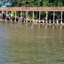 일광약국 | 여름 햇빛 화상 입었을 때 비아핀 연고 일광화상 내돈내산 후기