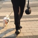 몽몽살롱 이미지