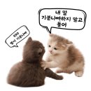 (단기)SNS이미지편집테크닉(포토샵) | 광주영상편집학원 추천💡 포토샵·일러스트·프리미어·에펙· 완벽 이해까지 취업에 필수 인유!