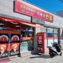 지세포반점