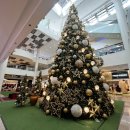 피그앤팜 이미지