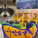 이플러스아진 | 🇸🇬 싱가포르 여행 - 유니버셜 스튜디오 싱가포르 🌏🦄