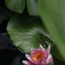 공부24