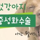 웰니스 클리닉 동물병원 이미지
