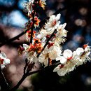 김해건설공업고등학교 이미지