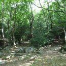 쌍계사 상록수림 이미지