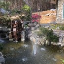 강릉애 진심 이미지