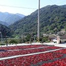 금계슈퍼민박 이미지