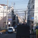 두꺼비청과