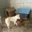 호구농장 이미지