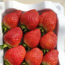 해랑농장 이미지