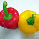 탐진축산 이미지