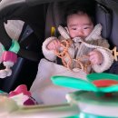 보블리스튜디오