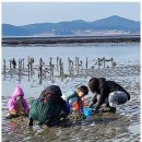 캐러가까 이미지