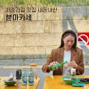 서순라길 맛집 내돈내산 분마카세 후기