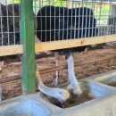 금장농장 이미지