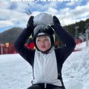 용평 어린이, 유아 전문 스키 강습 _PIC SKI LESSON 이미지