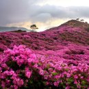 성서노인 종합복지관 앞 이미지