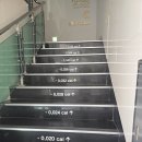 대구 두류동 다이어트 성지 대곡연세의원 방문 후기｜예약부터 진료·처방까지 완벽 정리