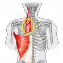 동방헬스 이미지