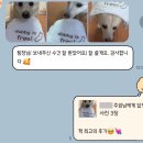 동두천원조 소문난 뼈해장국, 전골전문 | 2025 블로그 연말결산(이라고 쓰고 사진첩 털이라고 읽는다) 6편