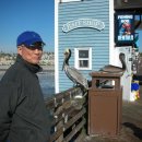 오션사이드 이미지