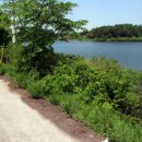 두량저수지 이미지