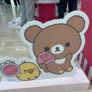 메이크스토어 | 잠실 캔메이크X리락쿠마 팝업 스토어 후기 굿즈증정 이벤트