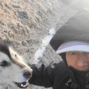 토골농장 이미지