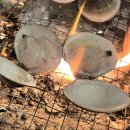 바비킹 | 을왕리 조개구이 | 조개무한리필 조개구이 킹 후기
