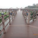 진밭1교 이미지