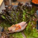 무안시장 화장실 이미지