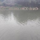 어류정낚시터 이미지