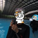 마인드4-월드요가명상협회 | [제주] PADI 프리다이빙 레벨2 자격증 취득 후기 | 종류, 기준, 비용, 기간