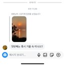 룰루PC | 아닌 하루도 분명 있겠지 누가 먼저가 될 것 없이 달려가서