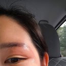 짬뽕뽕직화짬뽕 | [10월의 기록] 유자생일주간 빰빰!