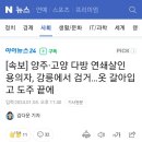 [속보] 양주ㆍ고양 다방 연쇄살인 용의자, 강릉에서 검거...옷 갈아입고 도주 끝에 이미지