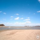 대부도 - 용인시 처인구 | 대부도