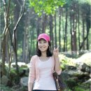 앵지밭골 이미지