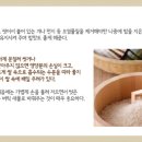 맛난쌀 이미지