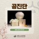 경희소유보약 #1. 공진단