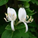 인동쉼터 이미지