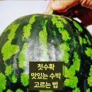 명안농장 이미지