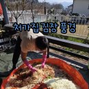 처가집통 이미지