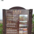인천 소래 습지생태공원에 다녀오며 이미지