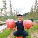 김종후농장 이미지