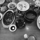 아트밸리자작나무 이미지